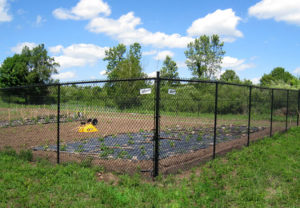 residential chain link fence